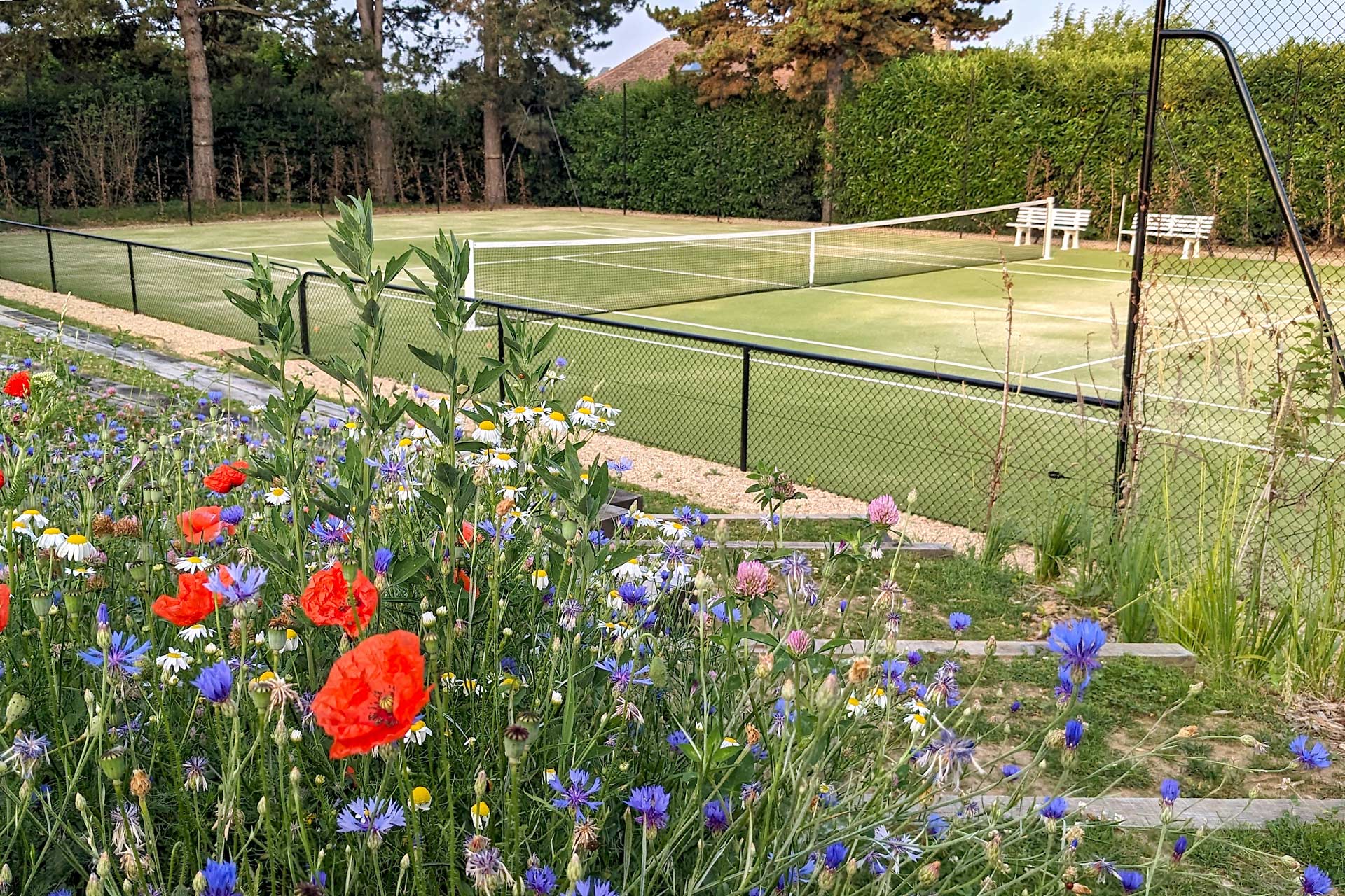 Terrain de tennis en herbe de la maison d'hôtes Val Trebbia, entouré de haies et clôturé, avec des bancs blancs en arrière-plan, bordé de fleurs sauvages colorées telles que des coquelicots et des bleuets au premier plan.